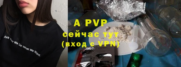 гашик Лихославль