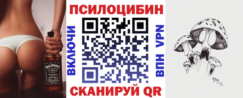 где купить   Троицк  Галлюциногенные грибы Cubensis 