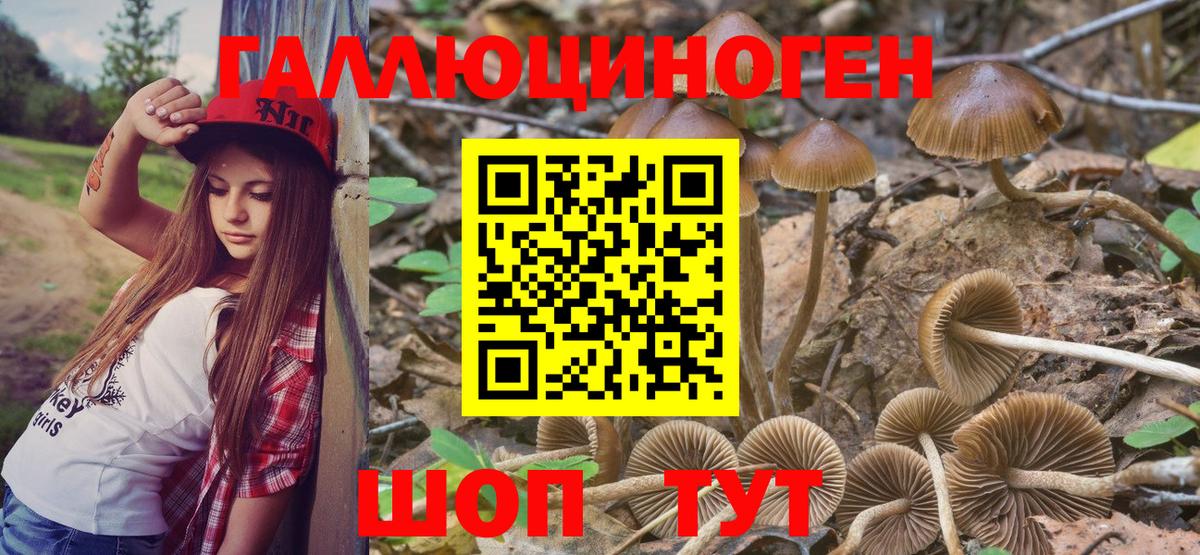 Галлюциногенные грибы прущие грибы  Галлюциногенные грибы прущие грибы  Троицк  Вход с VPN 
