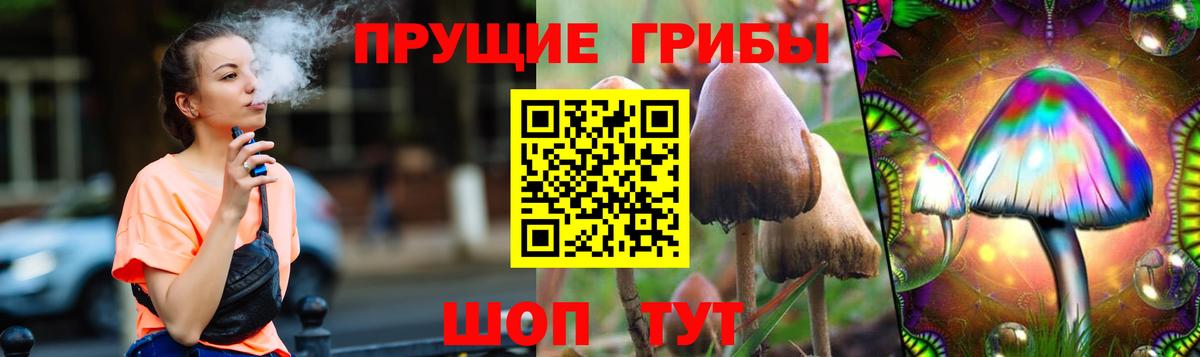 Псилоцибиновые грибы Psilocybe Троицк